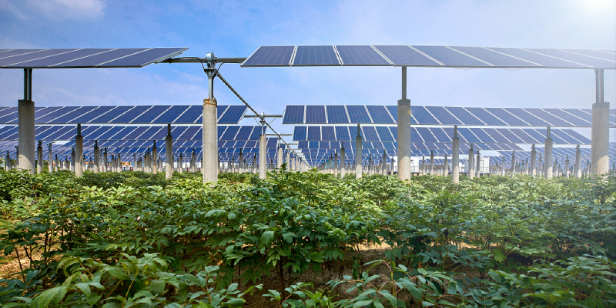 Agrivoltaico Innovativo O.E. Solutions